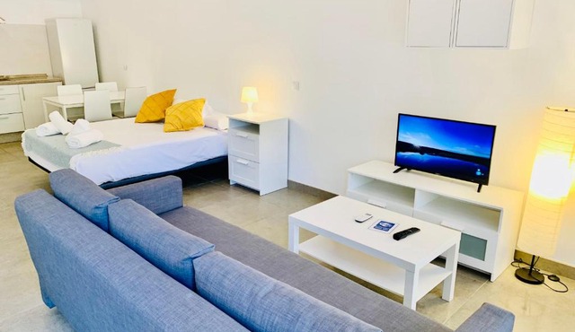 Apartamentos Pintor Losada