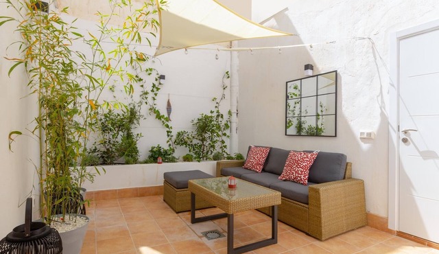Beautiful apartment with patio in the Picasso neighborhood