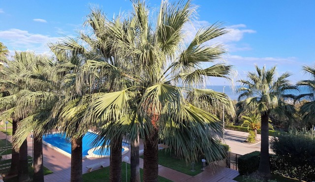 Beautiful Stella apartment in 1st line on the sea with swimming pool, palm tree
