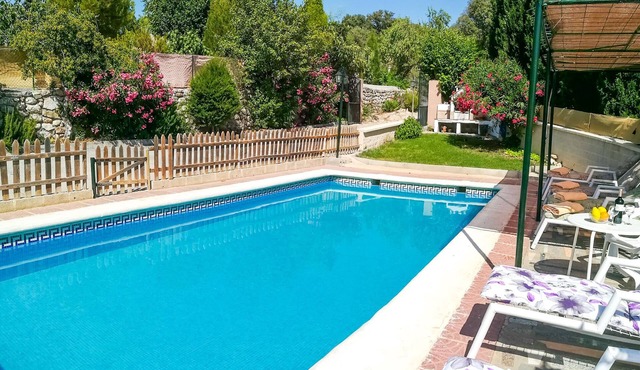 Beautiful villa on private land with olive and fruit trees