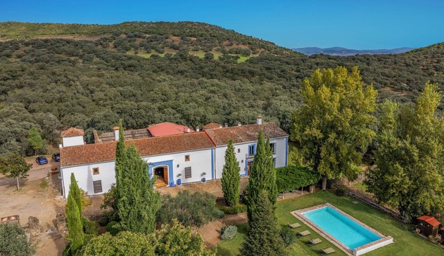 Beautifully Restored 7 Bedroom Olive Mill with Private Pool in it's own Forest