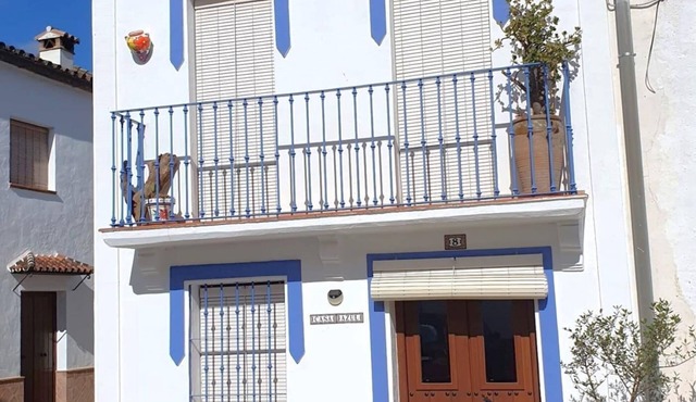 Blue house - El colmenar