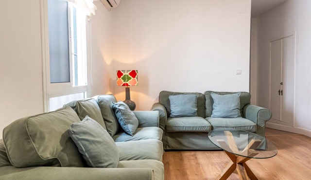 Bright Spacious Apartment with Private Terrace & Air Conditioning in Seville