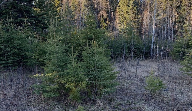 Camping on private land in Bowden