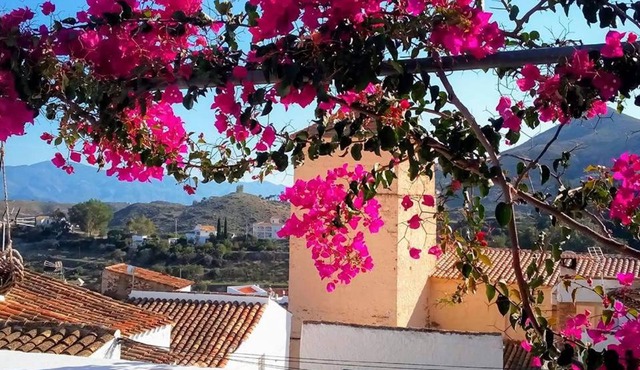 Casa Caballito De Mar Boutique B&B