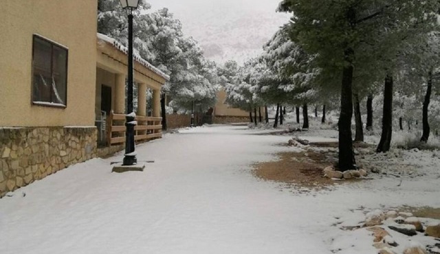Casa Rural Pinar del Rey