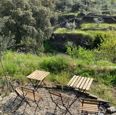 Casas Rurales Prunus avium