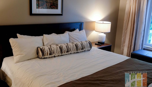 Charming Copeland 1-bed Condo + patio + hot tub in Oro