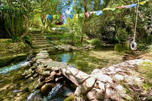 Cinco Lunas VEGETARIAN Retreat Oasis