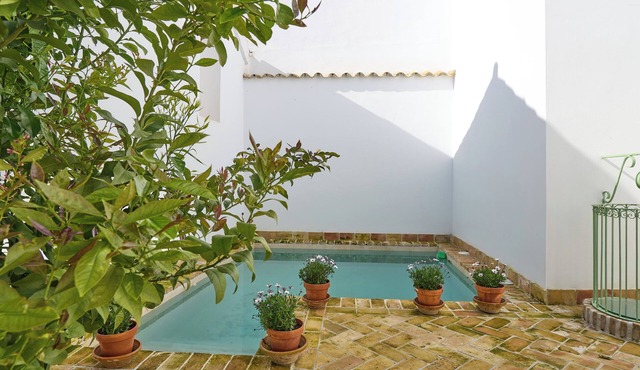 Country House 'Casa Palacio Vida' with Private Pool, Wi-Fi and Air Conditioning