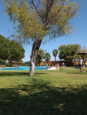 El laurel y el limonero.