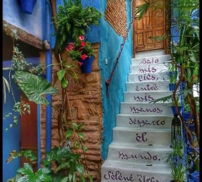 El patio azul Bohemio Mágico