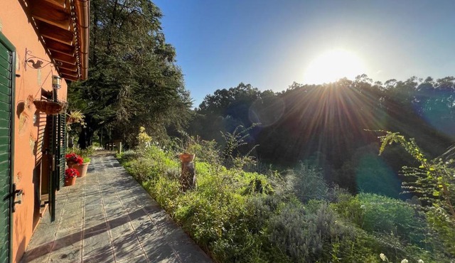 Finca El Lance Zumacal