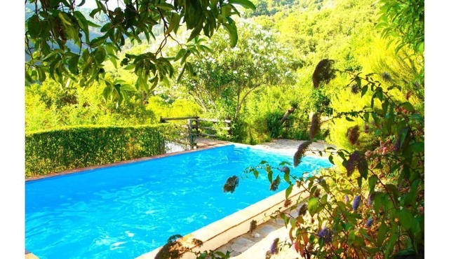 Finca El Molino de Aceite