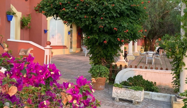 Fuente de la Salud, a place to forget about the past