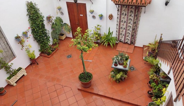Guadameci by Guimar