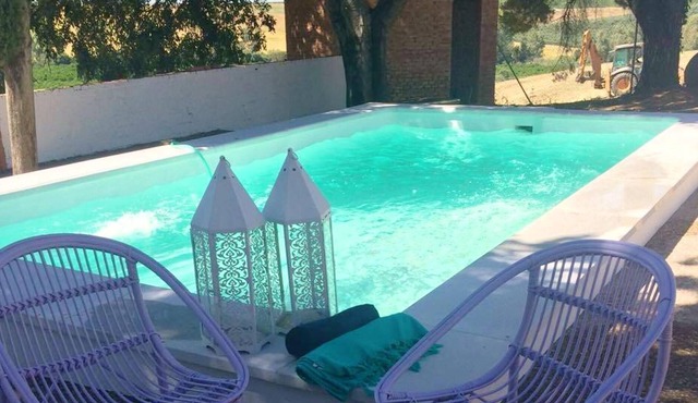 Homerez - Big villa for 20 ppl. with swimming-pool and garden at Palma del Río