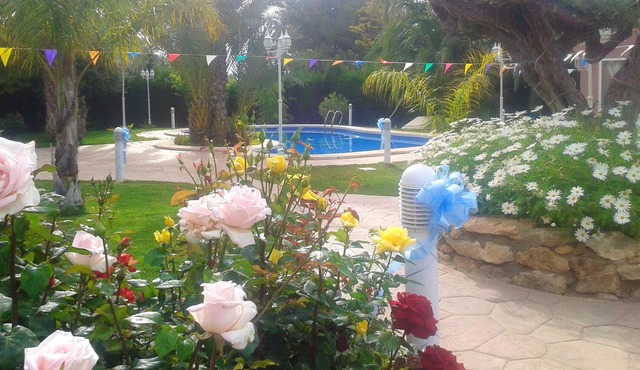 Homerez - Comfortable Apartment in Elche