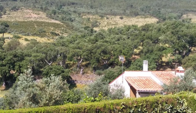 Homerez - Studio in Valencia de Alcántara