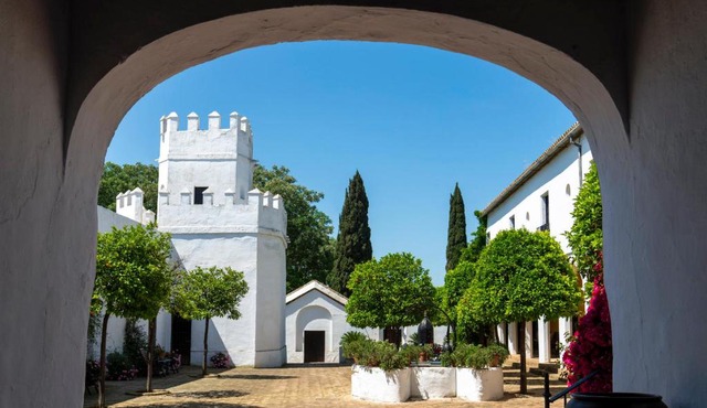 Hospedium hotel Cortijo Torre De La Reina