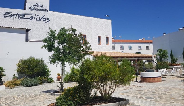 Hotel Entreolivos