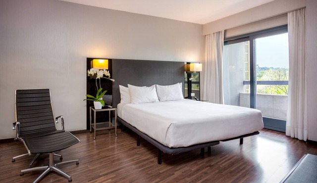 Hotel Eurostars Monte Real