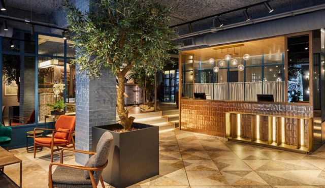 Hotel Indigo Madrid - Princesa by IHG