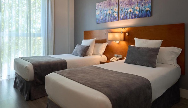 Hotel Puerta de Toledo