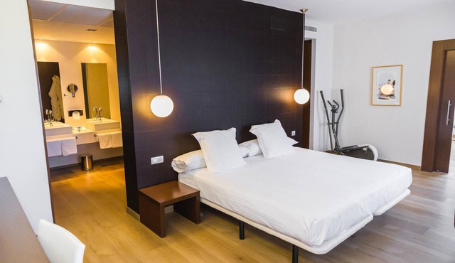 Hotel Veracruz Plaza & Spa