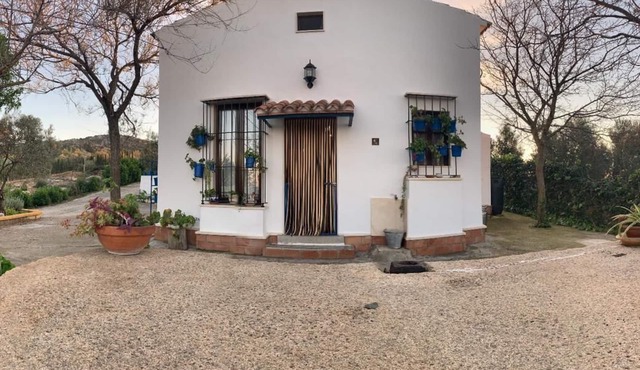 House of Roya in Estepa (Seville).