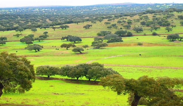 Ideal refuge in Extremadura comfort and nature