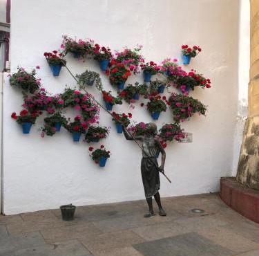 La Regaora apartamento