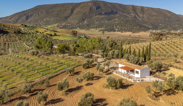 Lovely home in Algodonales with WiFi