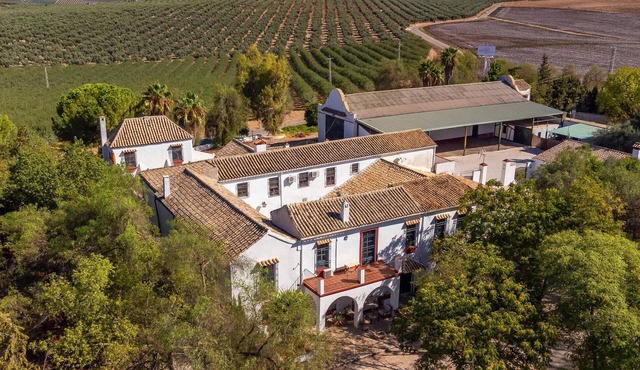 Luxurious home in Santaella