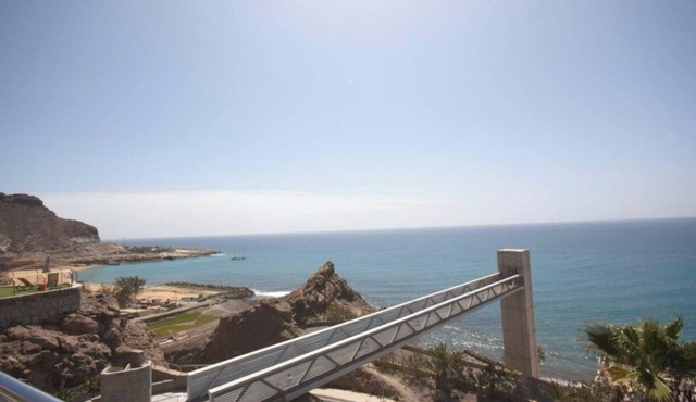 Luxurious penthouse with pool, panoramic view and gym.