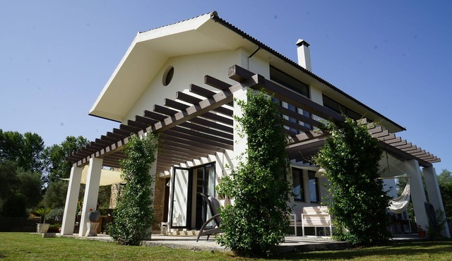 Luxury Holiday Villa with private swimming pool amidst 300 olive trees