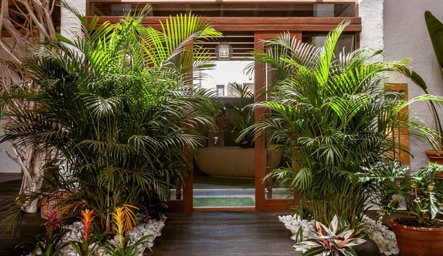 Luxury "Wild Jungle Eco Villa" Near the Coast of Cotillo