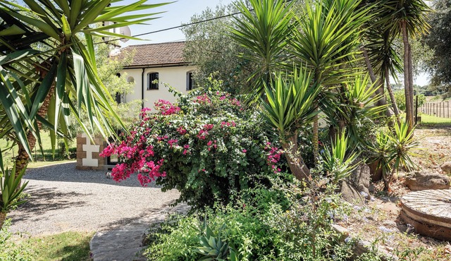 Mill house on Organic Cork and Cattle Farm with Summer Camp for Children