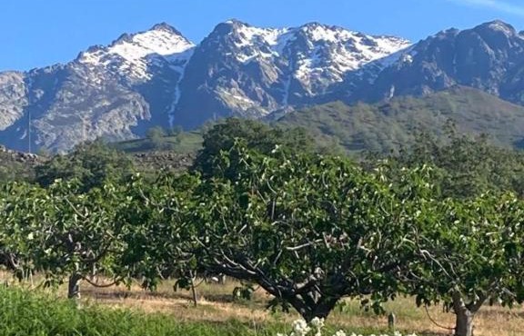 MIRADA A GREDOS
