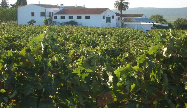 Moriles Traditional Farmhouse for 8