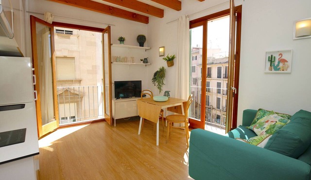 Nice Studio in Palma Centro, Bright with Balcony, Wifi, Air Conditioning in Palma