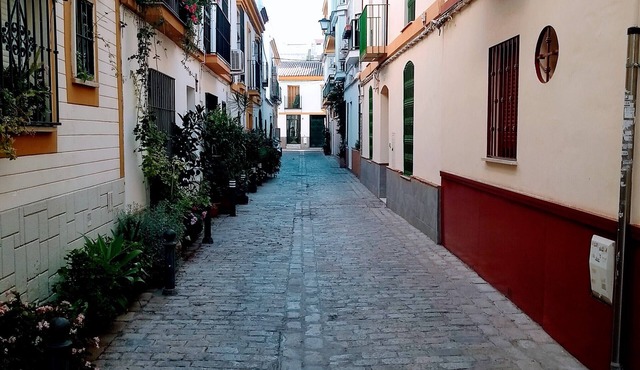 Orange blossom Seville