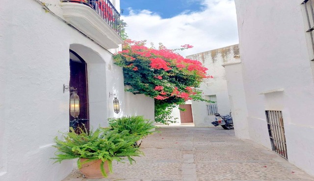 Pura Vida - Apartment In Vejer De La Frontera