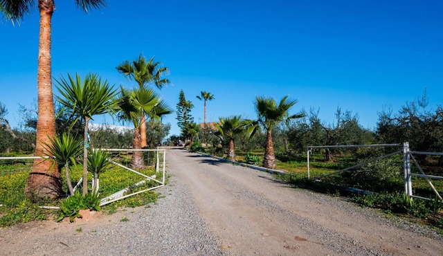 Rural House 'El Paraíso Del Olivar' with Private Pool, Terrace & Air Conditioning