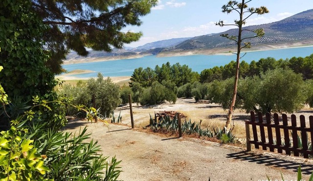 Rural House with Private Pool near Malaga (Pets Allowed)