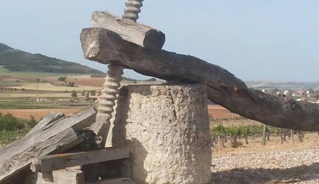 Self catering La Verde Villa for 11 people in Anguix