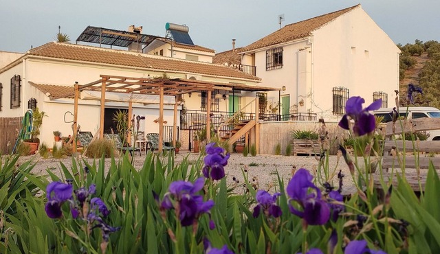 Self-contained apartment with large outdoor space, pool and terrace