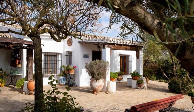 Stunning Andalusian Farmhouse. Privare saltwater Pool. 3-Hectare Olive Estate.