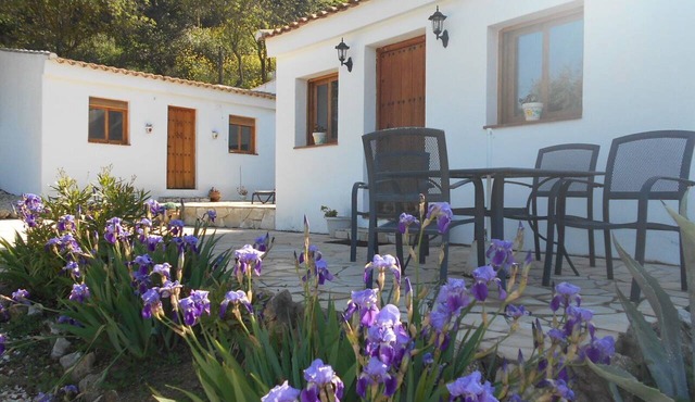 Tranquil, Self-Catering Andalucian Cottage - Located Among The Olives