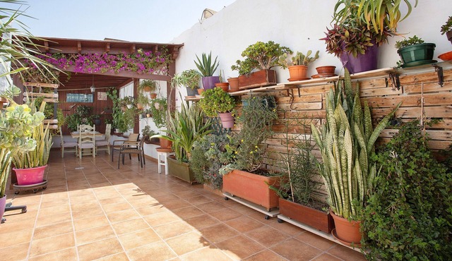 Vacation Apartment 'Alojamiento El Ocaso' with Private Terrace and Wi-Fi